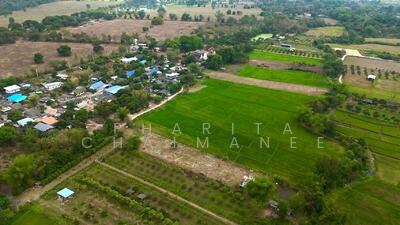 ขาย - บ้านหนองพันเงิน ต.ยุหว่า อ.สันป่าตอง จ.เชียงใหม่, เชียงใหม่