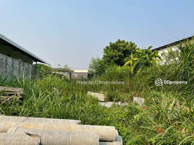 For Sale - Land for sale , near sarasas witaedlannaschool 1 km., thakam , muang,chiang mai, Chiang Mai