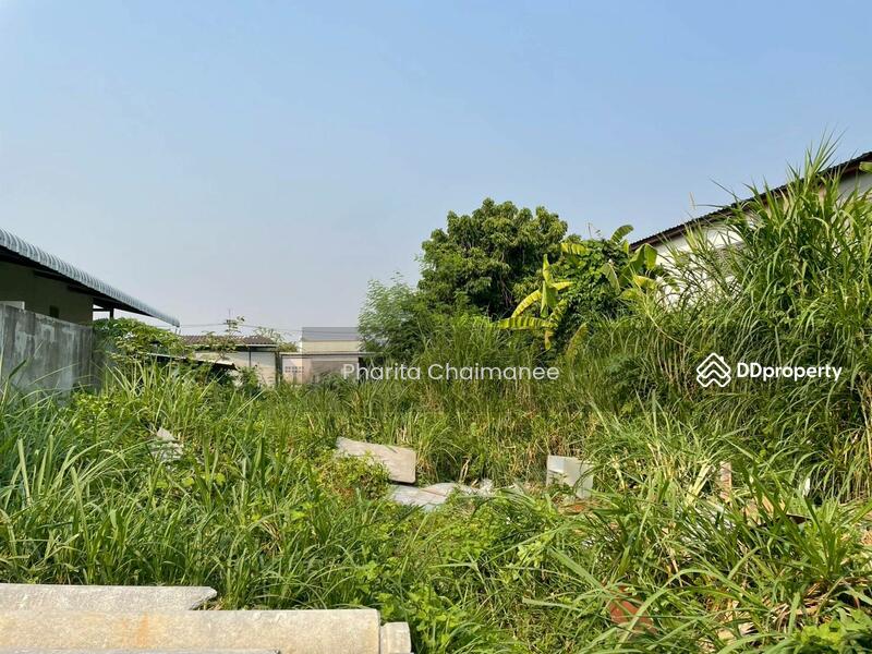 For Sale - Land for sale , near sarasas witaedlannaschool 1 km., thakam , muang,chiang mai, Chiang Mai