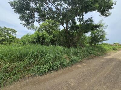 ขาย - ที่ดิน คลองห้า, ปทุมธานี