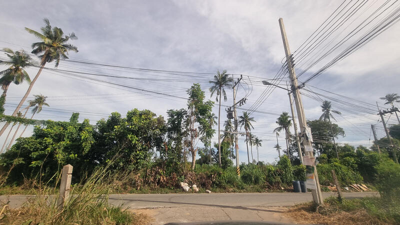 For Sale - ที่ดินในตำบลหนองปลาไหล อำเภอบางละมุง ชลบุรี เนื้อที่ 50 ตารางวา, Chon Buri (Pattaya)