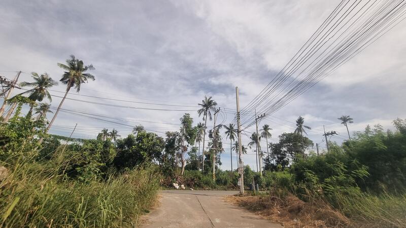 For Sale - ที่ดินในตำบลหนองปลาไหล อำเภอบางละมุง ชลบุรี เนื้อที่ 50 ตารางวา, Chon Buri (Pattaya)