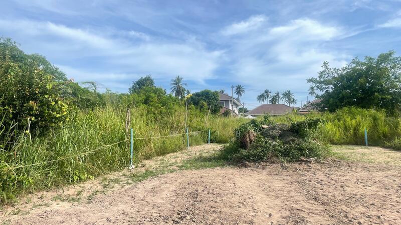 For Sale - ที่ดินในตำบลหนองปลาไหล อำเภอบางละมุง ชลบุรี เนื้อที่ 50 ตารางวา, Chon Buri (Pattaya)