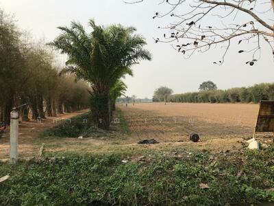 ขาย - ที่ดิน ริมกก เชียงราย, เชียงราย