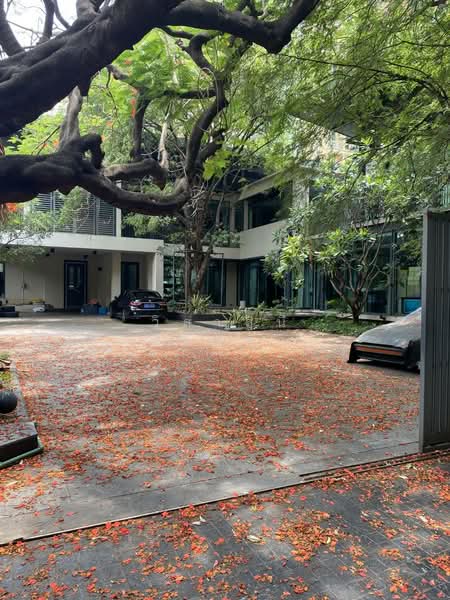 ที่ดิน 556 ตารางวา สุขุมวิท 31 อโศก สุขุมวิท ทองหล่อ วัฒนา ใกล้ BTS ,MRT, Bangkok, สุขุมวิท 31, Khlong Toei, Khlong Toei, Bangkok, , 2,226 sqm, Land For Sale, by วิลาสินี เศรษฐกุล, 60086295 - DDproperty.com