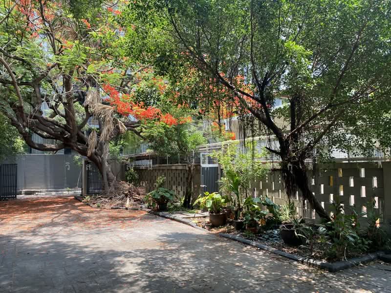 ที่ดิน 556 ตารางวา สุขุมวิท 31 อโศก สุขุมวิท ทองหล่อ วัฒนา ใกล้ BTS ,MRT, Bangkok, สุขุมวิท 31, Khlong Toei, Khlong Toei, Bangkok, , 2,226 sqm, Land For Sale, by วิลาสินี เศรษฐกุล, 60086295 - DDproperty.com