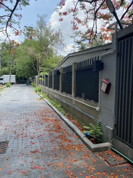 ที่ดิน 556 ตารางวา สุขุมวิท 31 อโศก สุขุมวิท ทองหล่อ วัฒนา ใกล้ BTS ,MRT, Bangkok, สุขุมวิท 31, Khlong Toei, Khlong Toei, Bangkok, , 2,226 sqm, Land For Sale, by วิลาสินี เศรษฐกุล, 60086295 - DDproperty.com