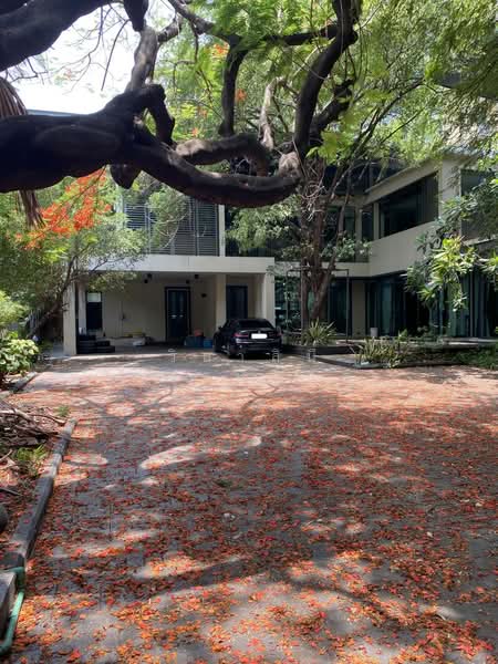 ที่ดิน 556 ตารางวา สุขุมวิท 31 อโศก สุขุมวิท ทองหล่อ วัฒนา ใกล้ BTS ,MRT, Bangkok, สุขุมวิท 31, Khlong Toei, Khlong Toei, Bangkok, , 2,226 sqm, Land For Sale, by วิลาสินี เศรษฐกุล, 60086295 - DDproperty.com