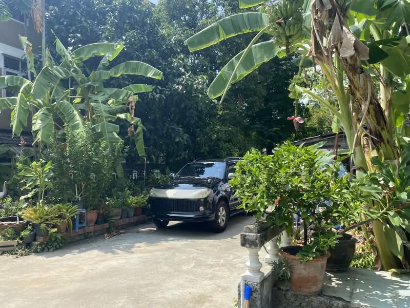 ที่ดิน 2 ไร่ สุขุมวิท 47 อโศก สุขุมวิท ทองหล่อ วัฒนา ใกล้ BTS, กรุงเทพ, สุขุมวิท 47, คลองเตย, คลองเตย, กรุงเทพ, 4,070 ตร.ม., ที่ดิน ขาย, โดย วิลาสินี เศรษฐกุล, 60086370 - DDproperty.com