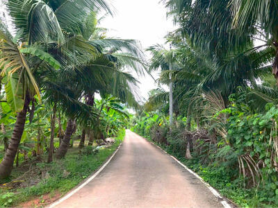 ขาย - -, สมุทรสงคราม