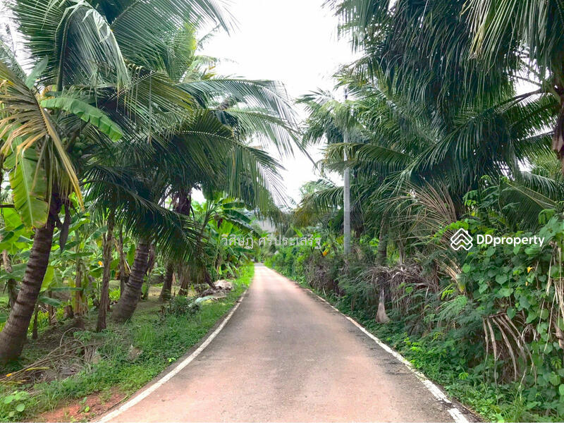 For Sale - -, Samut Songkhram