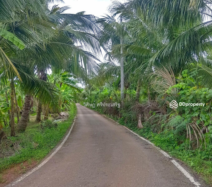 For Sale - -, Samut Songkhram