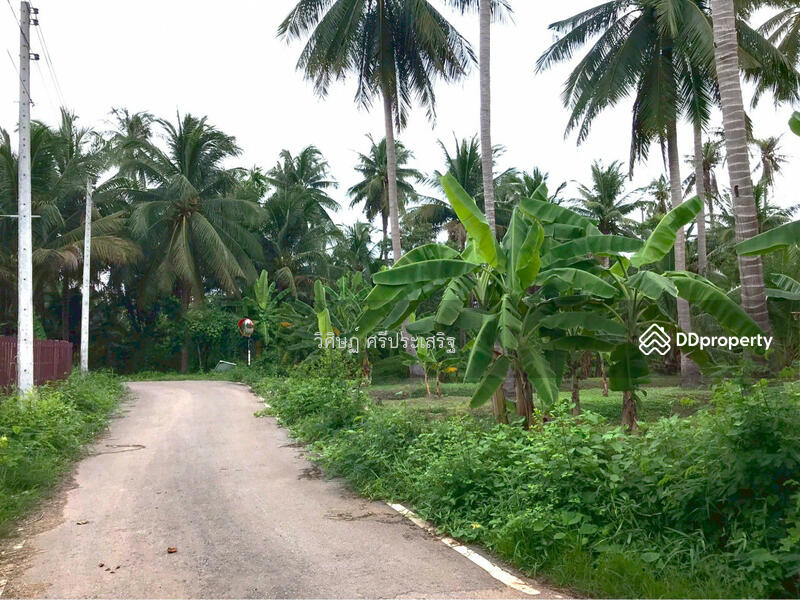 For Sale - -, Samut Songkhram