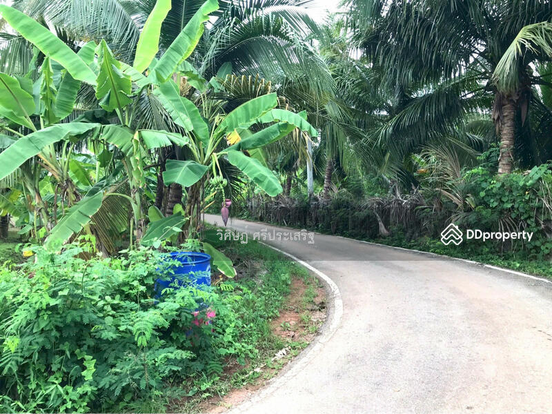 For Sale - -, Samut Songkhram