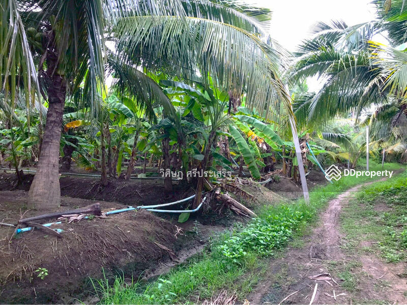 For Sale - -, Samut Songkhram