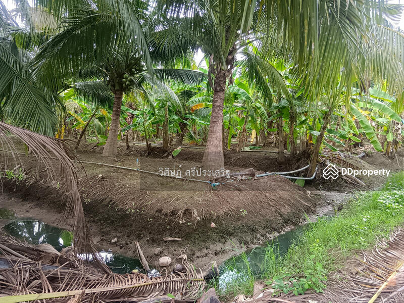 For Sale - -, Samut Songkhram