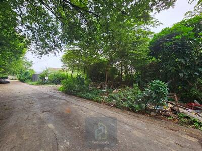 ขาย - ที่ดินเปล่า 145 ตร.วา ซ.ปุณณวิถี 43, กรุงเทพ