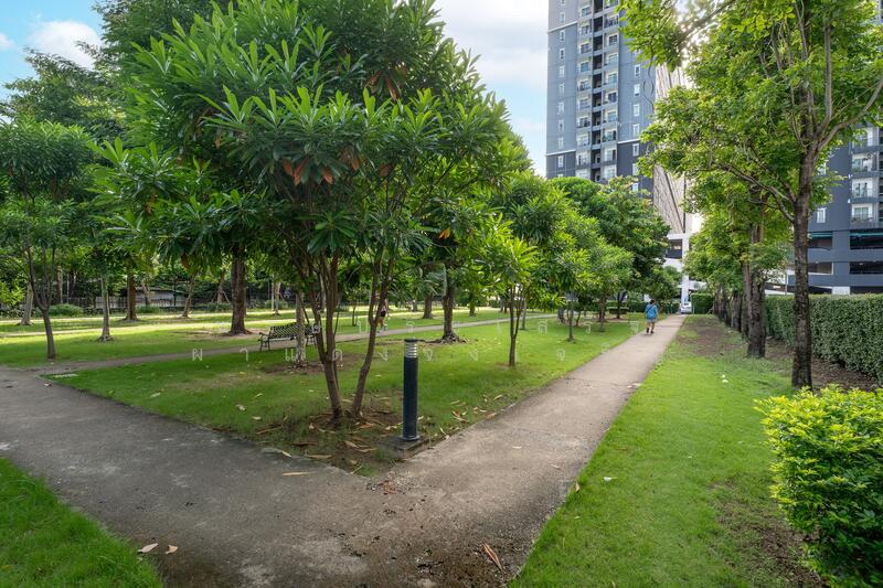 Regent Home Bangson 27, Bangkok, 877 Bangkok-Nonthaburi Road, Bang Sue, Bangkok, 1 Bedroom, 28 sqm, Condo For Sale, by พงษ์ประเสริฐ ผาแดงจงเจริญ, 60087306 - DDproperty.com