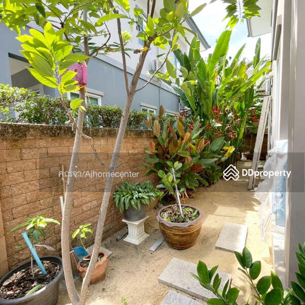 ขาย - The Plant Pakkred : เดอะ แพลนท์ ปากเกร็ด, นนทบุรี