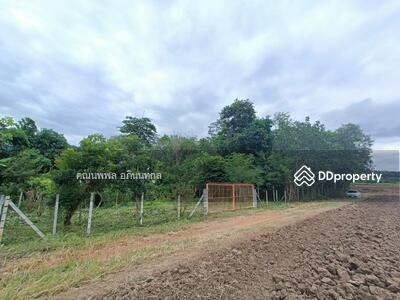 ขาย - ขาย ที่ดิน 1 ไร่ 23 x 70 เมตร ทำเลสวย ปากช่อง คลองม่วง เขาใหญ่ โคราช, นครราชสีมา