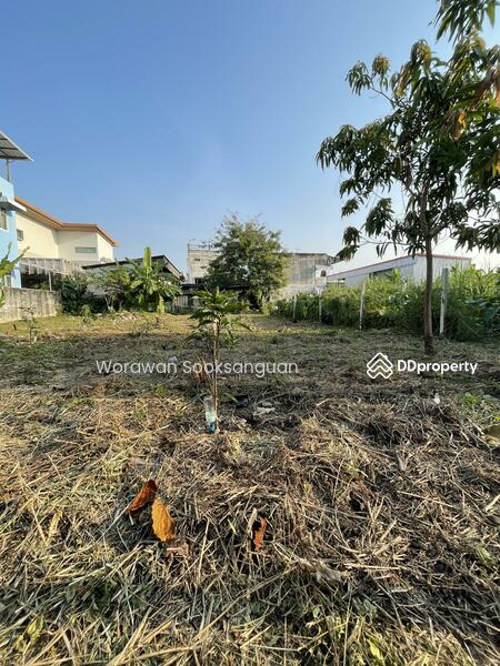 For Sale - Sangkomsongkroh, Bangkok