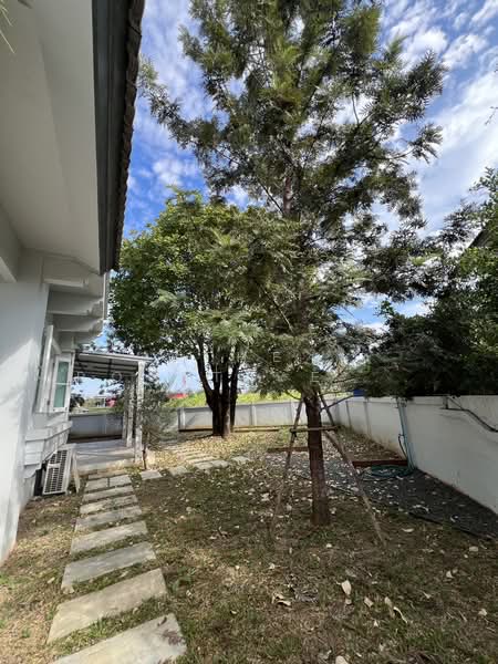 Laddarom San Phisuea Chiangmai, Chiang Mai, สมโภชเชียงใหม่ 700 ปี, San Phi Sua, Muang Chiang Mai, Chiang Mai, 3 Bedrooms, 400 sqm, Single Detached House For Sale, by The Positive ที่ดิน บ้าน คอนโด, 60088066 - DDproperty.com