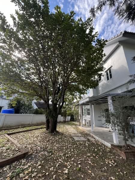 Laddarom San Phisuea Chiangmai, Chiang Mai, สมโภชเชียงใหม่ 700 ปี, San Phi Sua, Muang Chiang Mai, Chiang Mai, 3 Bedrooms, 400 sqm, Single Detached House For Sale, by The Positive ที่ดิน บ้าน คอนโด, 60088066 - DDproperty.com