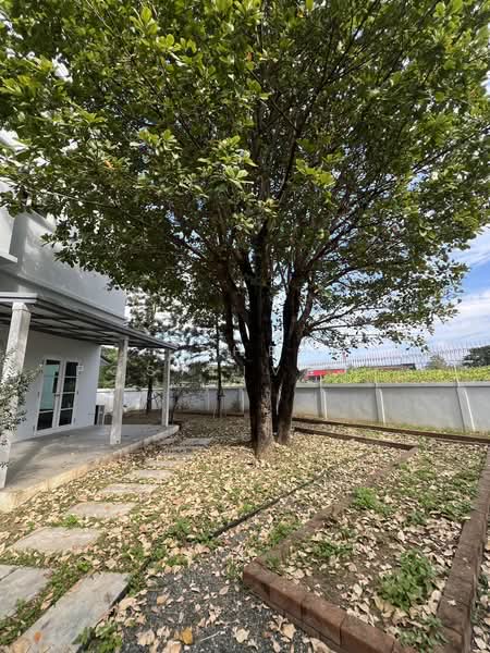 Laddarom San Phisuea Chiangmai, Chiang Mai, สมโภชเชียงใหม่ 700 ปี, San Phi Sua, Muang Chiang Mai, Chiang Mai, 3 Bedrooms, 400 sqm, Single Detached House For Sale, by The Positive ที่ดิน บ้าน คอนโด, 60088066 - DDproperty.com