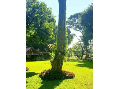 ขาย - The Green 2 : หมู่บ้านเดอะกรีน 2, สระบุรี