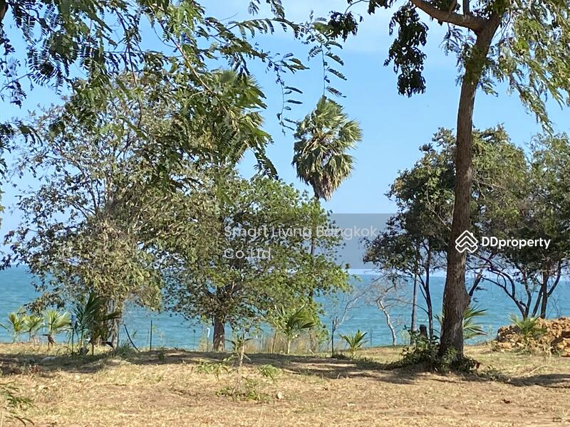 For Sale - Beachfront Land in Khok Ta Hom, Thap Sakae, Prachuap Khiri Khan