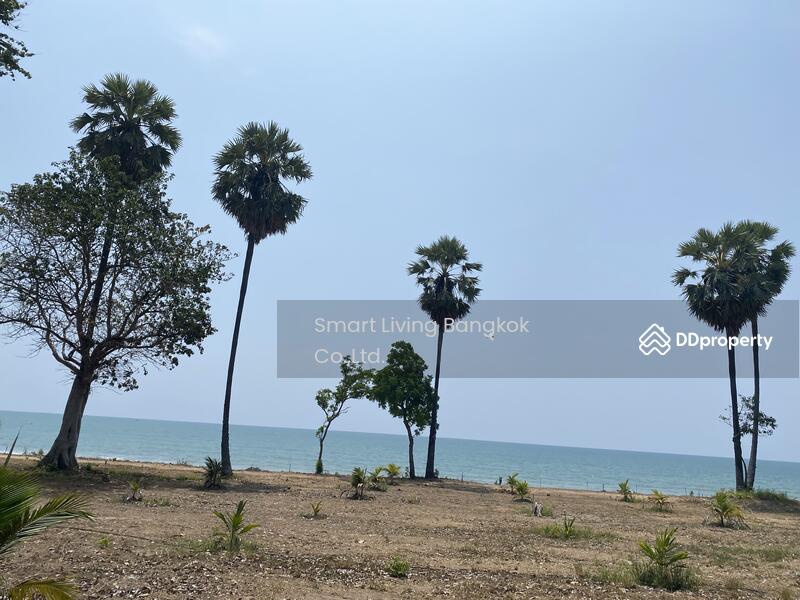 For Sale - Beachfront Land in Khok Ta Hom, Thap Sakae, Prachuap Khiri Khan