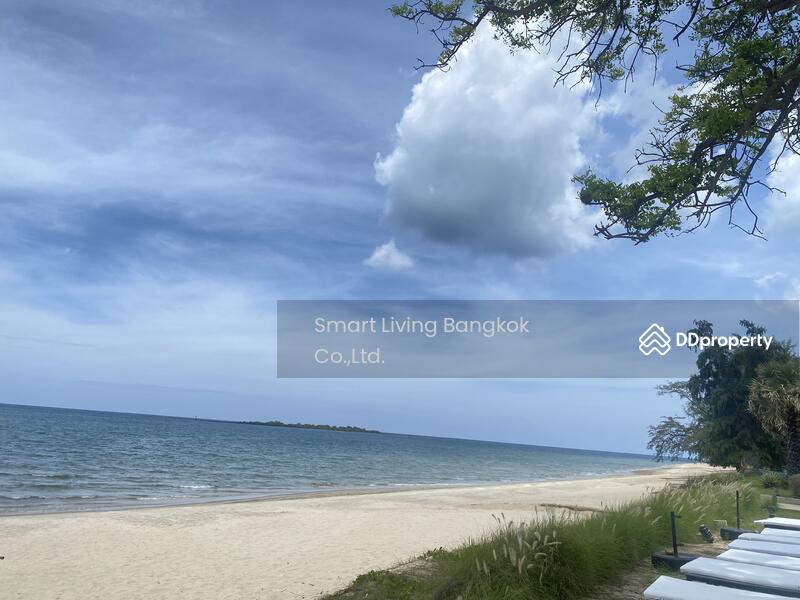 For Sale - Beachfront Land in Khok Ta Hom, Thap Sakae, Prachuap Khiri Khan