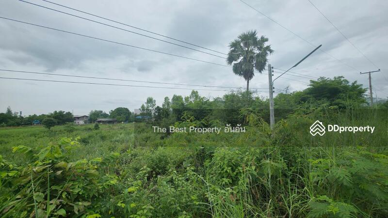 ขาย - ที่ดินหินกอง ราชบุรี, ราชบุรี