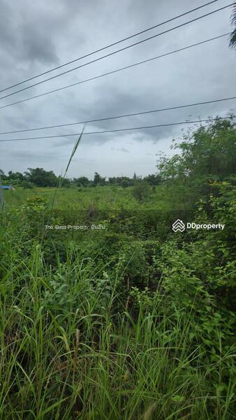 ขาย - ที่ดินหินกอง ราชบุรี, ราชบุรี