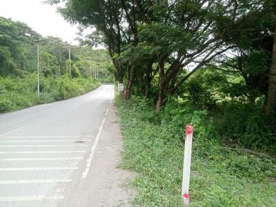 ขาย - ต. หนองปลาไหล อ. เมืองสระบุรี จ. สระบุรี, สระบุรี