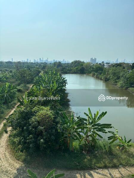 ให้เช่า - หมู่บ้านกลางเมืองพระรามเก้าศรีนครินทร์, กรุงเทพ
