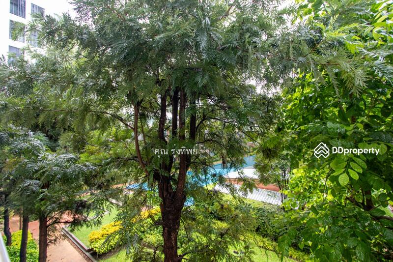 For Sale - Dcondo Nim, Chiang Mai