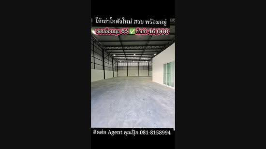 ทำเลอ่อนนุช 65 แยก 9 ให้เช่าโกดังสร้างใหม่ เนื้อที่ 100 วา สวย พร้อมอยู่่ ทำเลดี จดบริษัทได้, Bangkok, สุขุมวิท 77, Prawet, Bangkok, , 300 sqm, Warehouse/Factory For Rent, by บุษบา รัตนวงษ์ชัย, 60090213 - DDproperty.com