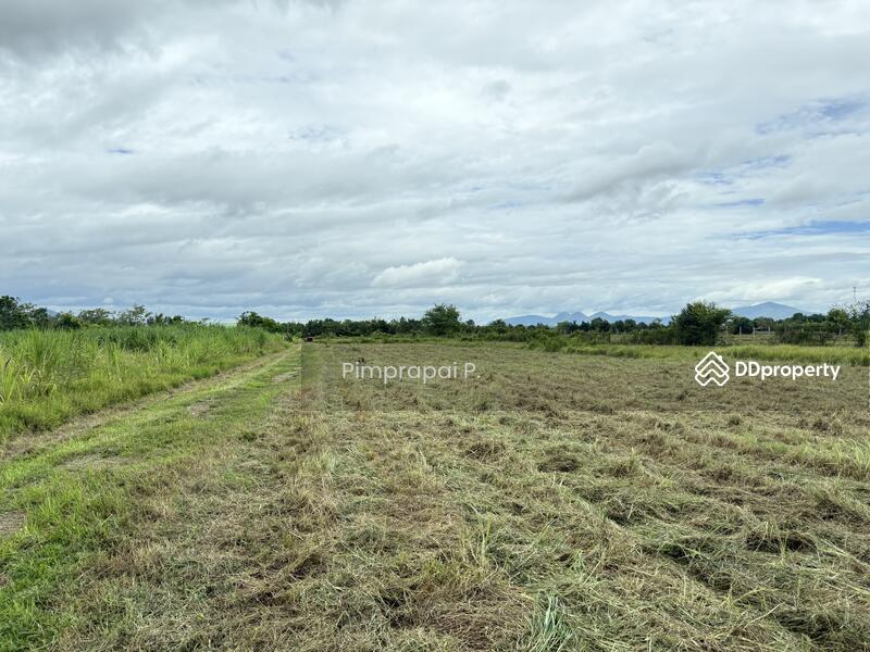 ขาย - ที่ดินวังจันทร์, เพชรบุรี