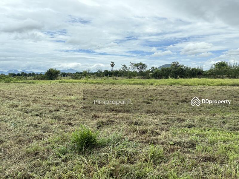 ขาย - ที่ดินวังจันทร์, เพชรบุรี