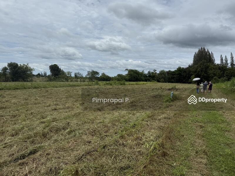 ขาย - ที่ดินวังจันทร์, เพชรบุรี