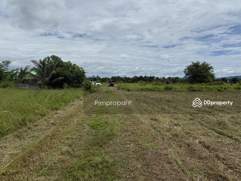 ขาย - ที่ดินวังจันทร์, เพชรบุรี