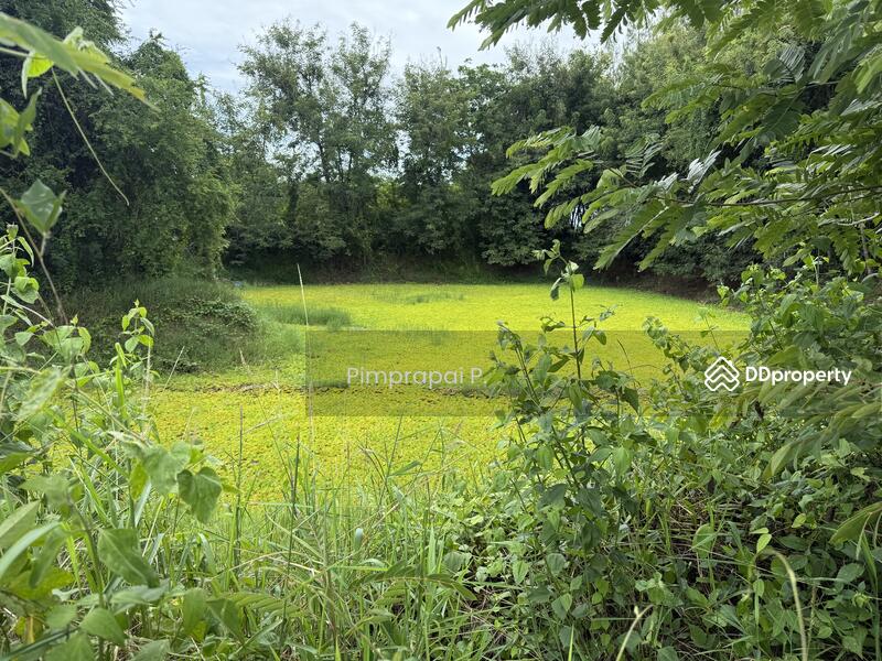 ขาย - ที่ดินวังจันทร์, เพชรบุรี
