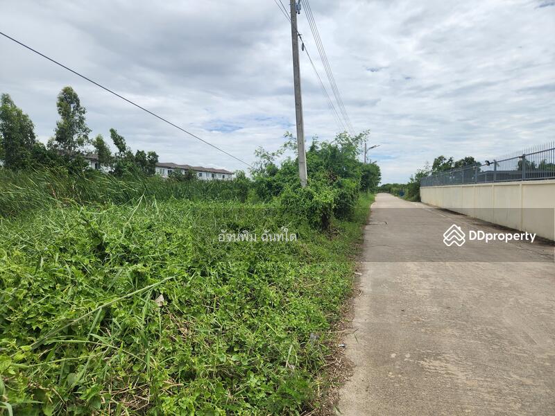ขาย - ที่ดินคลองสาม ซอย 1/15, ปทุมธานี