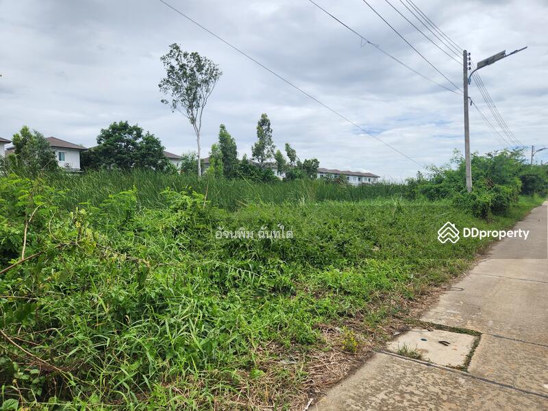 ขาย - ที่ดินคลองสาม ซอย 1/15, ปทุมธานี