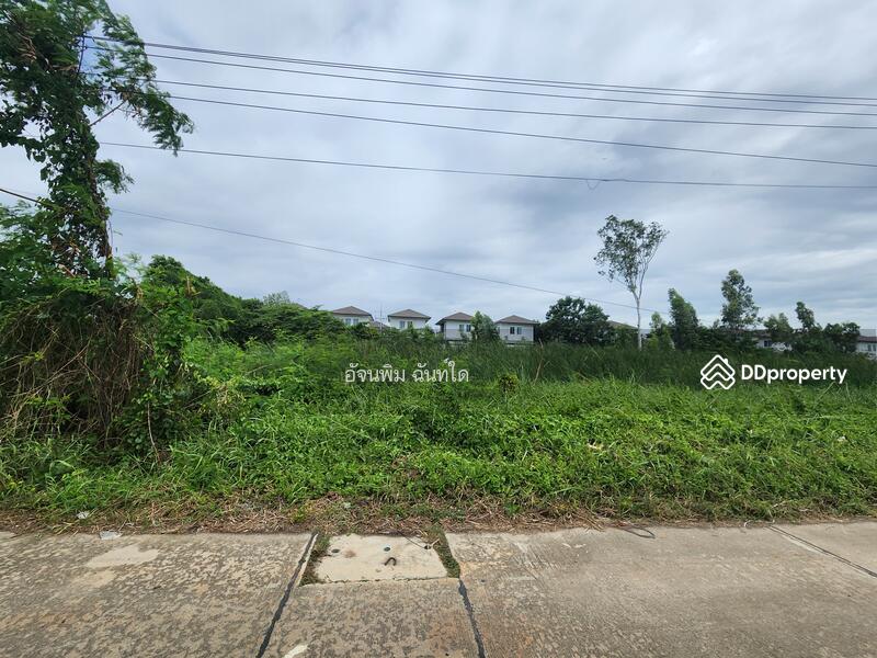 ขาย - ที่ดินคลองสาม ซอย 1/15, ปทุมธานี