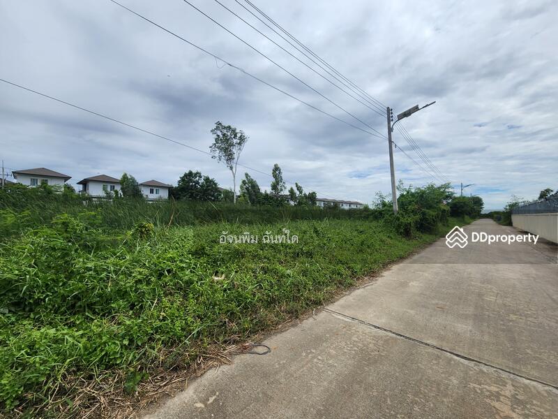 ขาย - ที่ดินคลองสาม ซอย 1/15, ปทุมธานี