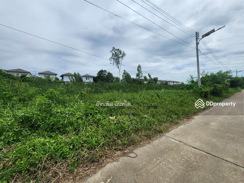 ขาย - ที่ดินคลองสาม ซอย 1/15, ปทุมธานี