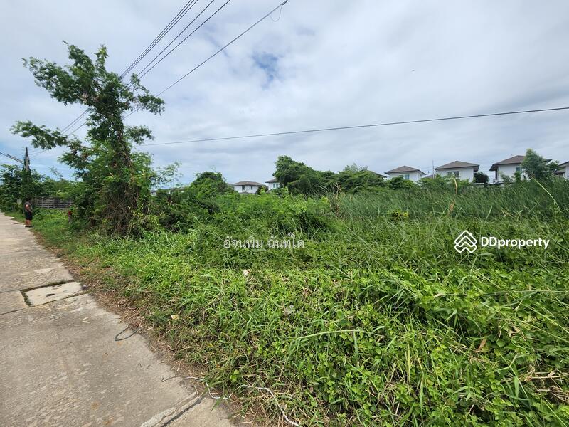 ขาย - ที่ดินคลองสาม ซอย 1/15, ปทุมธานี