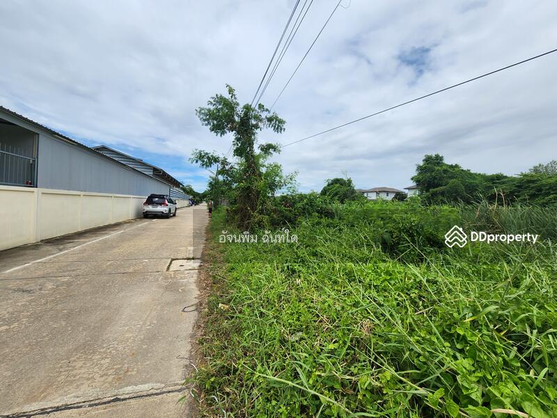 ขาย - ที่ดินคลองสาม ซอย 1/15, ปทุมธานี